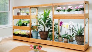 Bamboo LED Grow Light Garden