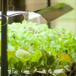 نورپردازی نمای کلاسیک (قیمت پروژکتورها)