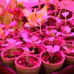 نورپردازی نمای کلاسیک (قیمت پروژکتورها)