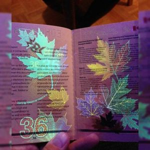 مدارک هویتی اصل