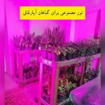 لامپ رشد گیاه رومیزی (پایه خرطومی)