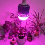 لامپ رشد گیاه رومیزی (پایه خرطومی)