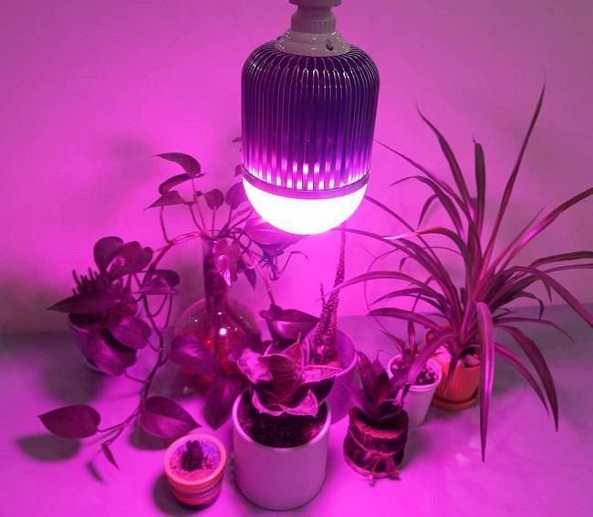 لامپ رشد گیاه سرپیچی 36 وات