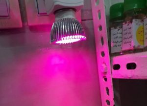 لامپ هالوژن رشد گیاه